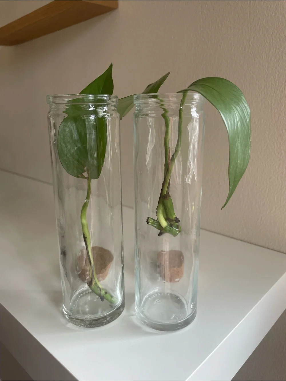 Vintage Clear Glass Apothecary Bottles with Cork Lids - Set of 2